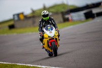 PJ-Motorsport-2019;anglesey-no-limits-trackday;anglesey-photographs;anglesey-trackday-photographs;enduro-digital-images;event-digital-images;eventdigitalimages;no-limits-trackdays;peter-wileman-photography;racing-digital-images;trac-mon;trackday-digital-images;trackday-photos;ty-croes